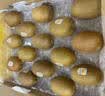 佳沛（zespri）新西兰金奇异果15粒巨大果146-175g猕猴桃中秋节礼品送水果礼盒 实拍图