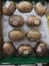佳沛（zespri）新西兰金奇异果10粒巨大果146-175g猕猴桃水果礼盒 实拍图