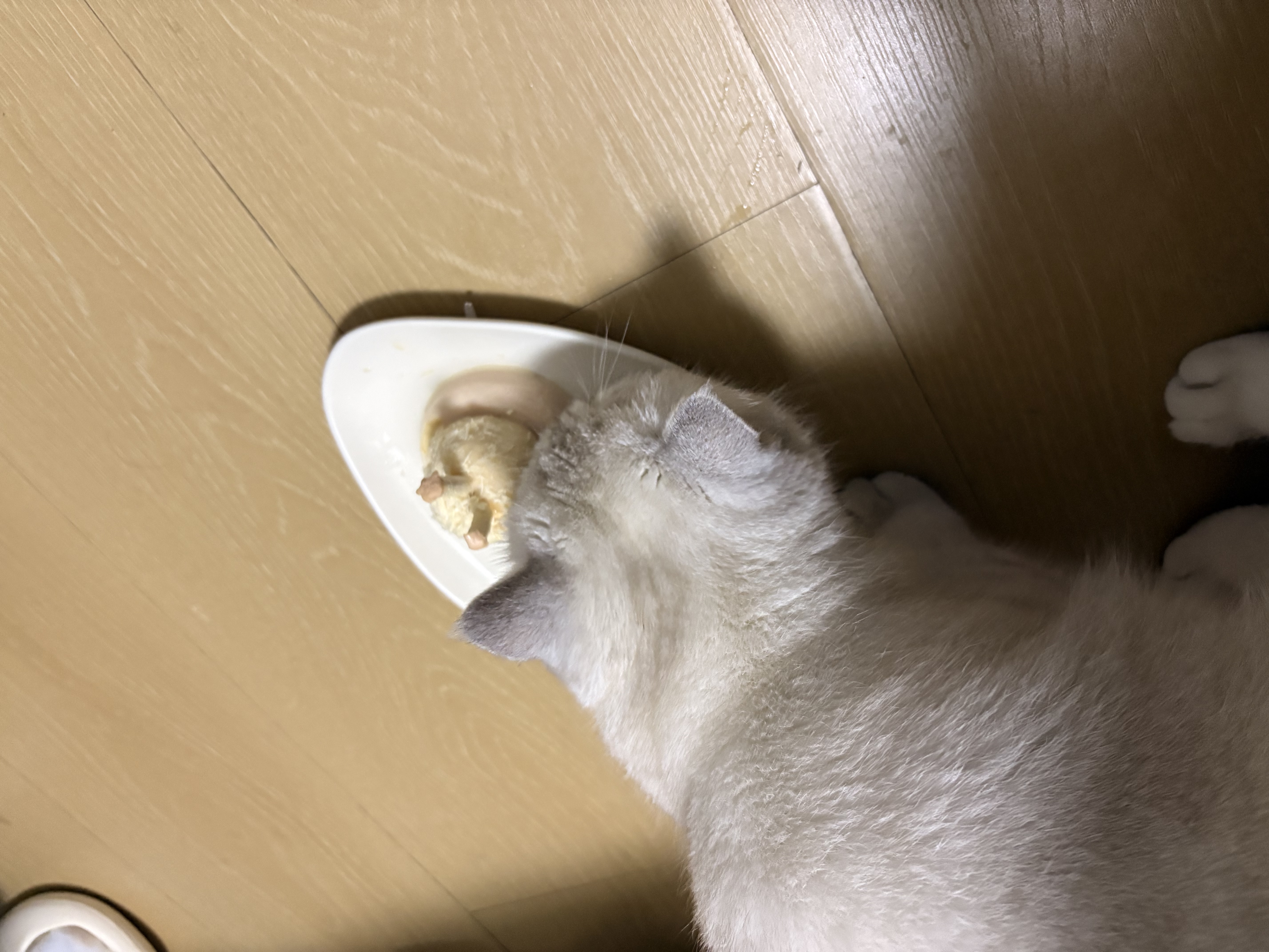 沃趣 猫砂钠基矿砂矿土吸水猫咪用品无尘猫砂9斤 实拍图