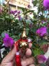 缤越黄铜葫芦挂件开口葫芦带朱砂铜葫芦摆件客厅办公室装饰约6.6cm高 实拍图