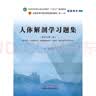 中医基础理论习题集 郑洪新 杨柱 著 全国中医药行业高等教育十四五规划教材配套用书第十一版中国中医药出版社刷题练习题考研 实拍图