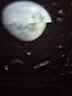 POCOCO星空投影灯满天星卧室睡眠小夜灯氛围灯星空顶女生七夕节礼物女孩 实拍图