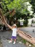 Kocotreekk树儿童防晒帽防紫外线宝宝遮阳帽夏季男童女童太阳帽沙滩大帽檐 实拍图