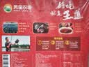 芮宝农场整只冷冻宰杀汉寿甲鱼净重500g生鲜团鱼海鲜水产盒装送调料包 实拍图