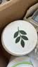安利（Amway）纽崔莱蛋白质粉多种植物蛋白粉营养粉增强免疫补充营养 【热销主推】安利植物蛋白粉 770g*1桶 实拍图