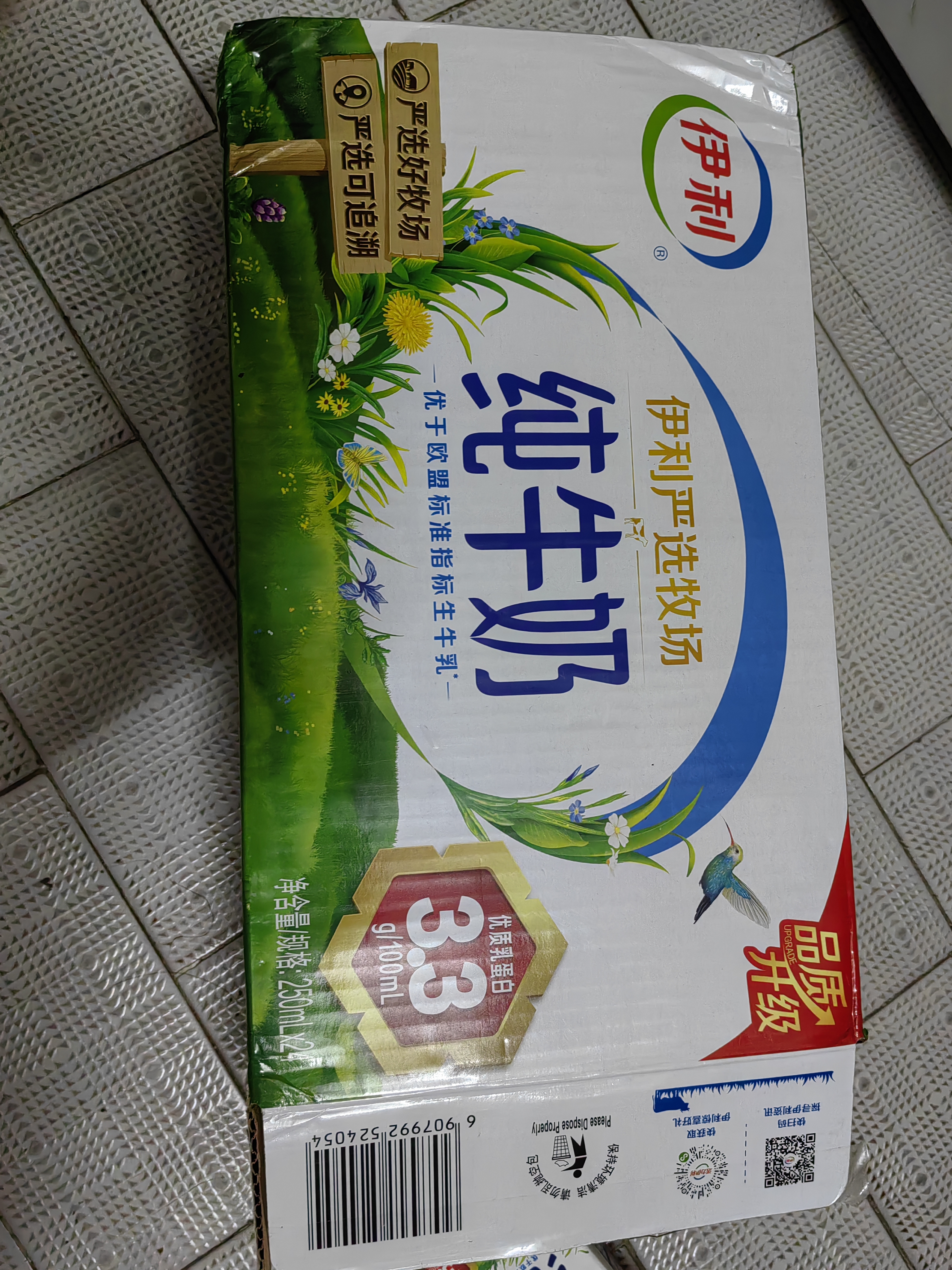 伊利6月纯牛奶250ml*24盒整箱牛奶营养早餐全脂牛奶成人纯奶 6月纯牛奶250ml*24盒 实拍图