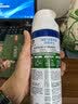 滴露（Dettol）消毒喷雾454ml鞋子除臭杀菌喷雾除臭剂马桶消毒床单除菌家用铃兰 实拍图