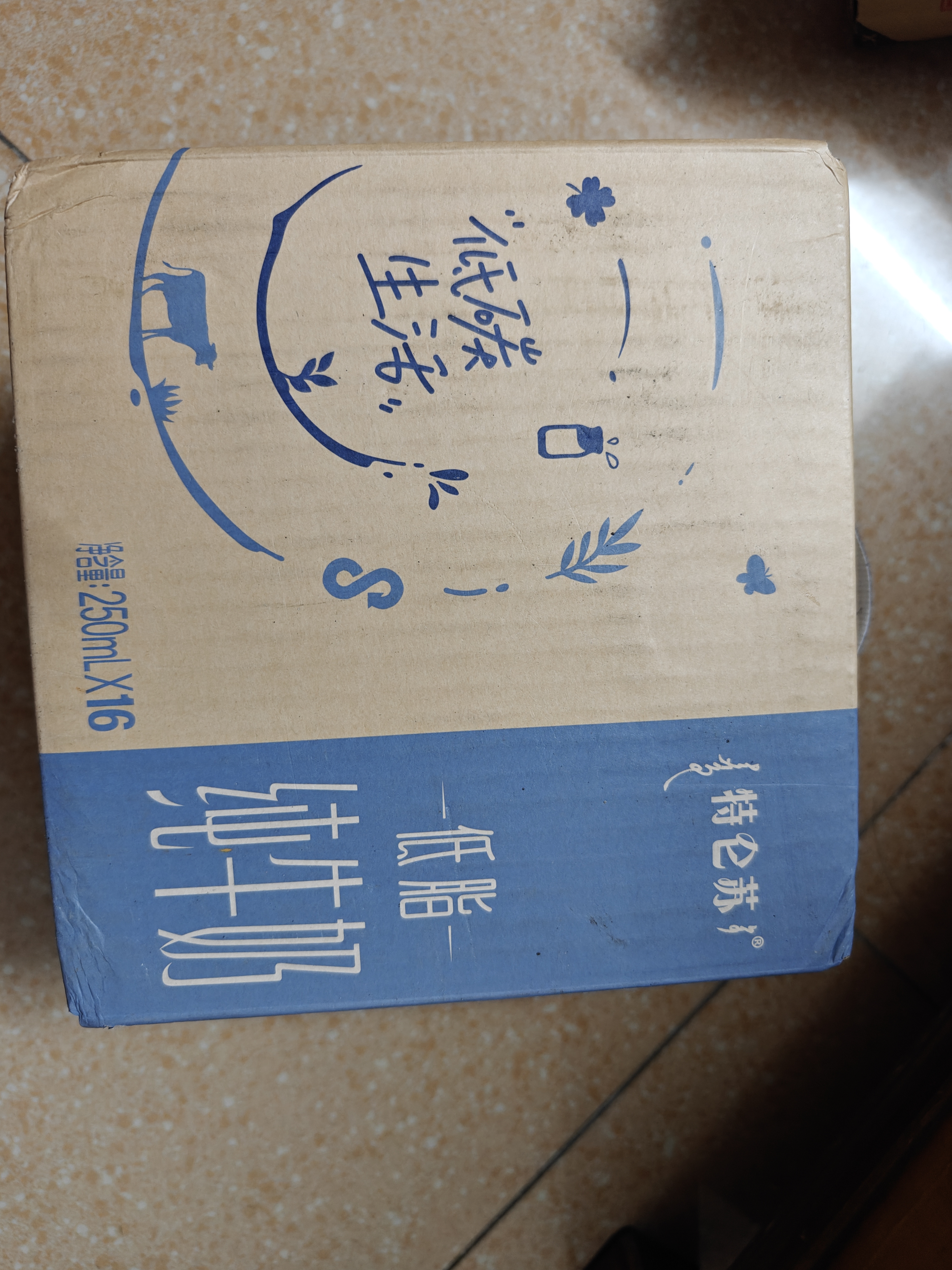 蒙牛特仑苏低脂纯牛奶250ml×16盒 健身减脂 中秋送礼礼盒 实拍图