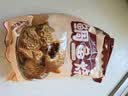 盛源来 鲷鱼烧（红豆馅）270g*2袋 12只 空气炸锅食材半成品早餐小鱼饼 实拍图