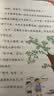 米小圈上学记三年级（套装共4册）童书儿童文学小学生课外阅读书籍课外阅读阅读课外书一升二衔接校园故事漫画书作文日记开学季必备 实拍图
