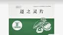 [AESCUVEN]迈之灵片 260mg*40片/盒 5盒装 实拍图