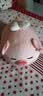 名创优品（MINISO）小猪B-BO翅膀猪玩偶毛绒公仔娃娃猪猪抱枕睡靠枕生日礼物女次日达 实拍图
