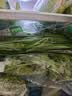 应季新土豆约1kg 实拍图