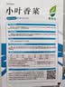 【限时优惠】随种随吃调料菜种子组合春季四季种耐热阳台盆栽蔬菜 小叶香菜种子2包约2000粒 一包约1000粒 实拍图