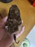 CFA赛级逗猫棒猫咪玩具长杆羽毛替换头耐抓咬猫玩具用品自嗨解闷 CFA赛级长杆逗猫棒-木杆弹簧款 实拍图