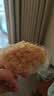 徐福记减糖30%沙琪玛香酥鸡蛋味526g/袋约16枚 休闲零食早餐 办公室健康 实拍图