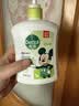 滴露（Dettol）洗手液抑菌滋润茉莉绿茶500g 儿童洗手液消毒 滋润护手米奇米妮版 实拍图