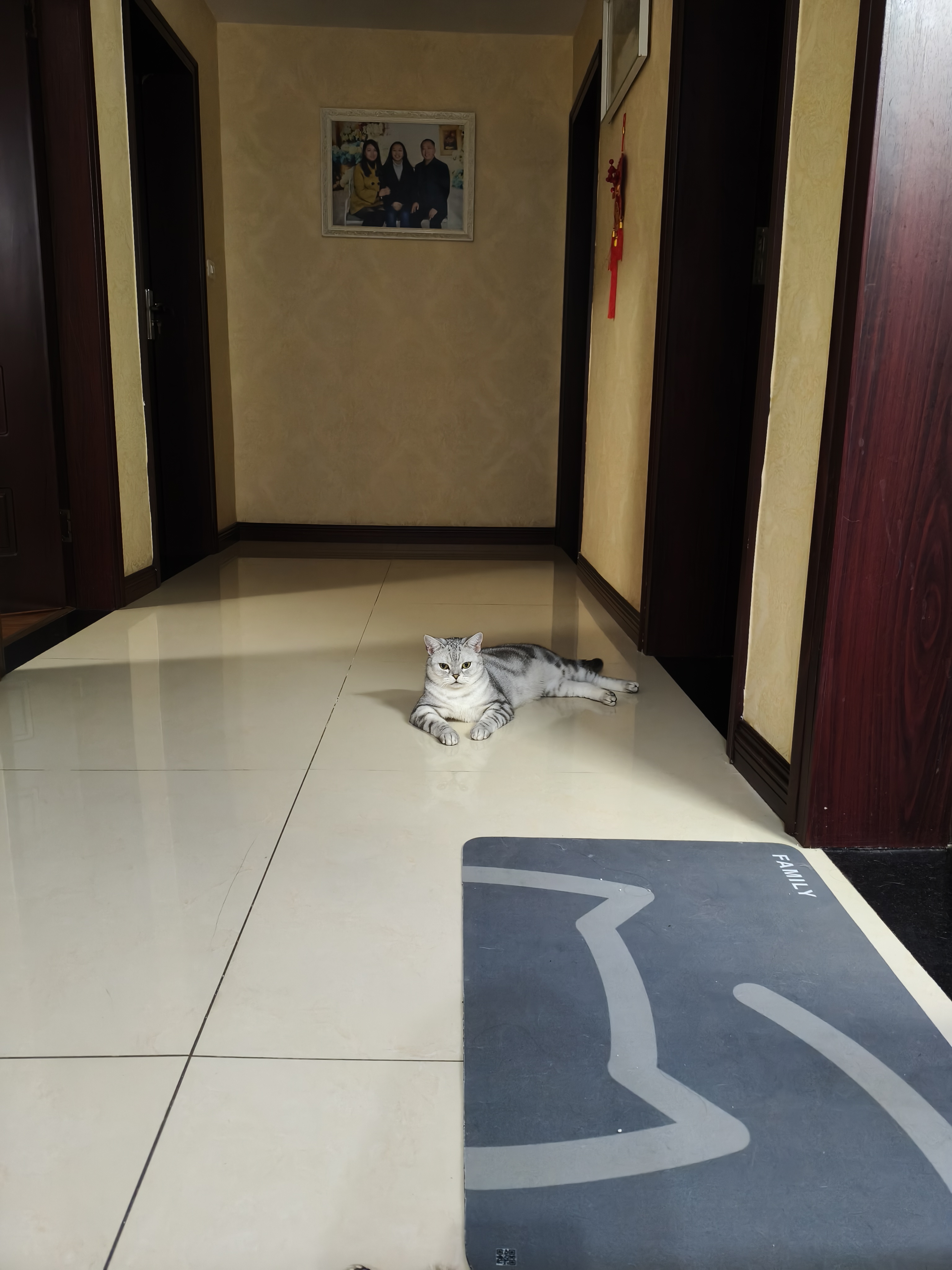 pidan猫砂 豆腐猫砂2.4kg*4包强力吸臭纯猫砂 可冲厕所非膨润土砂 实拍图