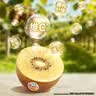 佳沛（zespri）新西兰金奇异果12粒特大果124-146g猕猴桃中秋节礼品送水果礼盒 实拍图
