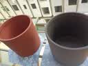怡乐陶 宜兴紫砂茶叶罐密封陶瓷存茶罐普洱七子饼大号储茶罐密封罐茶盒 促销款（清水泥款） 7饼 实拍图