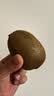 佳沛（zespri）新西兰金奇异果22粒巨大原箱146-175g猕猴桃中秋节礼品送水果礼盒 实拍图
