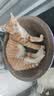 【京东物流】猫抓板磨爪猫窝一体耐磨不掉屑超大号猫玩具猫咪用品 圆形大号+猫薄荷 实拍图