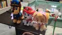 汪汪队立大功（PAW PATROL）毛绒玩具狗狗陪睡玩偶经典款阿奇站姿公仔男女孩儿童生日礼物 实拍图