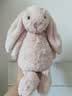 Jellycat害羞乳白色邦尼兔动物毛绒玩偶安抚玩偶娃娃送礼生日礼物 害羞胭脂粉色邦尼兔 Medium 实拍图