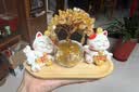 赟娅黄水晶发财树招财猫入户玄关办公室桌面摆件家居装饰乔迁生日礼物 招财进宝招财猫发财树套装【金色】 实拍图
