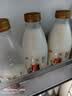光明 致优 4.0娟姗牛鲜牛奶 800ml*1瓶  家庭装鲜奶 低温奶 定期购 实拍图