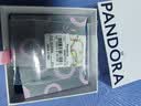潘多拉（PANDORA）[林高远同款]好彩头彩虹手链缤纷闪耀送女友生日礼物 实拍图