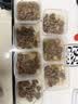 澳纽宝澳洲超值手工静腌调理牛排组合1.62kg(10片)含酱包 礼盒套装 早餐 实拍图