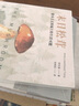 末日松茸：资本主义废墟上的生活可能（薄荷实验）罗安清 著，张晓佳 译 实拍图