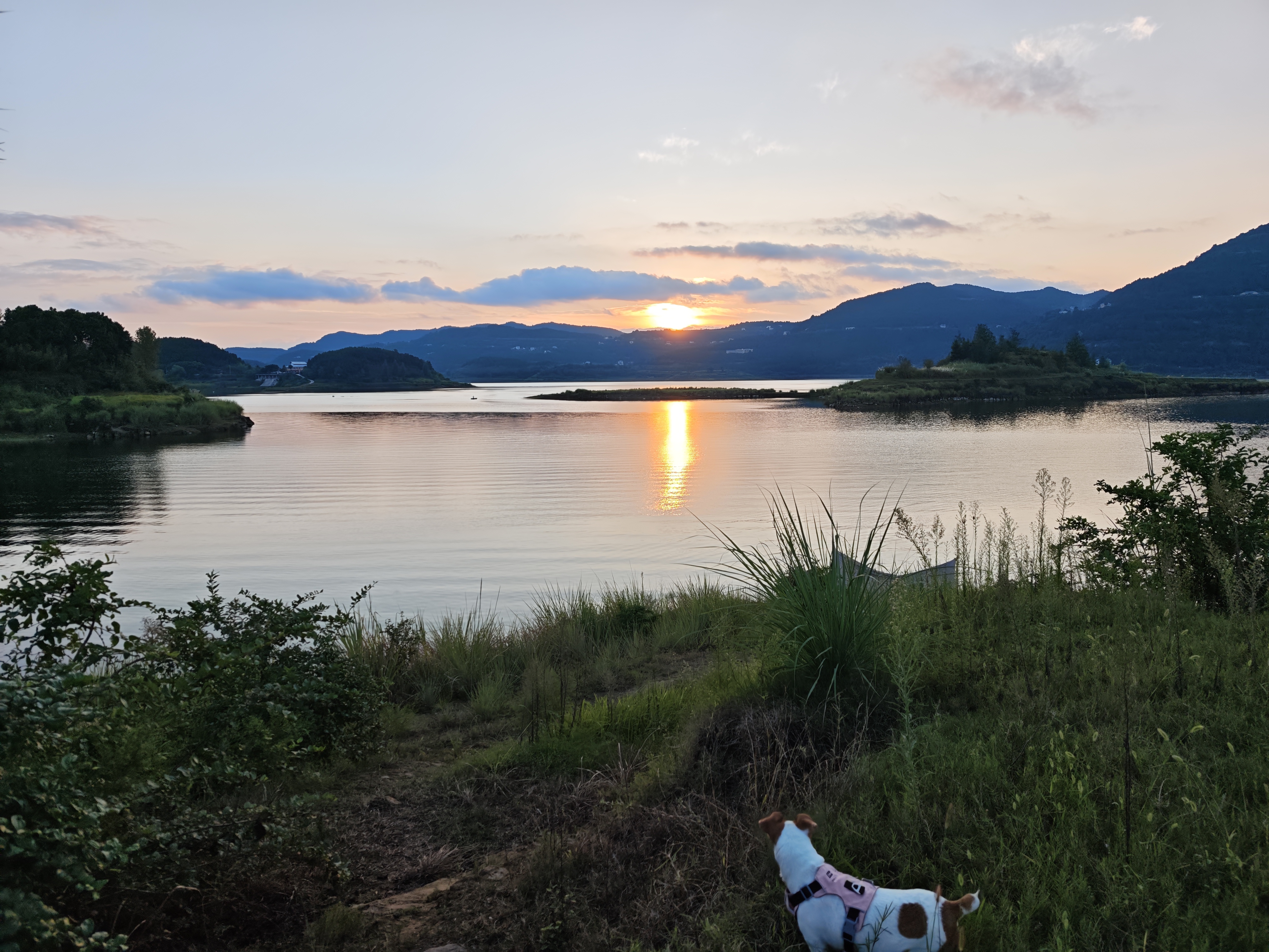北海牧场7种益生菌 1kg*1瓶原味高钙家庭装低温酸奶 专属菌种  实拍图