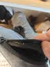 新款牛津布包潮流商务胸包男女单肩包帆布休闲背包防刮耐磨斜挎包 深灰色【简约时尚】 实拍图