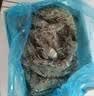 鲜京采 鲜冻大号黑虎虾 去冰净重2斤 31-40只/盒 美食大赛同款 中秋 实拍图
