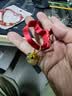 欢宠网猫项圈猫咪铃铛狗狗宠物幼小中型猫猫犬脖圈颈项链装饰用品 福字 实拍图