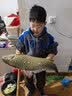 川泽大黄蜂夜光漂咬钩变色鲫鱼漂高灵敏纳米醒目漂大物电子漂夜钓浮漂 2代2-5号【鲫鲤综合】吃铅：2.5g 咬钩变色（单支装+电池） 实拍图