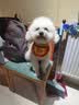 疯狂小狗小耳朵冻干夹心狗粮柯基比熊小型犬幼成犬通用护肠胃粮4.5kg9斤 实拍图