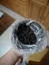 福东顺 普洱茶 糯米香普洱熟茶特级正品 十年老树茶化石碎银子500g 实拍图