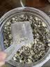 穗格氏（SHEGURZ）高钙牛乳燕麦片35g装 即食营养早餐牛奶麦片试吃装小条装 实拍图