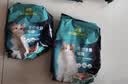 雷米高（RAMICAL）澳宝 猫粮海洋鱼味成幼猫咪全期通用型猫粮500g*20包 20斤 实拍图