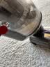 戴森（DYSON）V12 DetectSlimFluffy 两年质保家用手持无线除螨车载宠物吸尘器显尘大吸力吸猫毛神器礼物推荐 实拍图