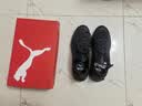 彪马PUMA 轻便透气休闲跑步鞋男通勤夏季网面低帮运动鞋310168 44.5 实拍图