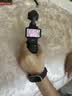 大疆DJI Osmo Pocket 3 标准版 一英寸口袋云台相机 OP灵眸手持数码相机vlog便携美颜 实拍图