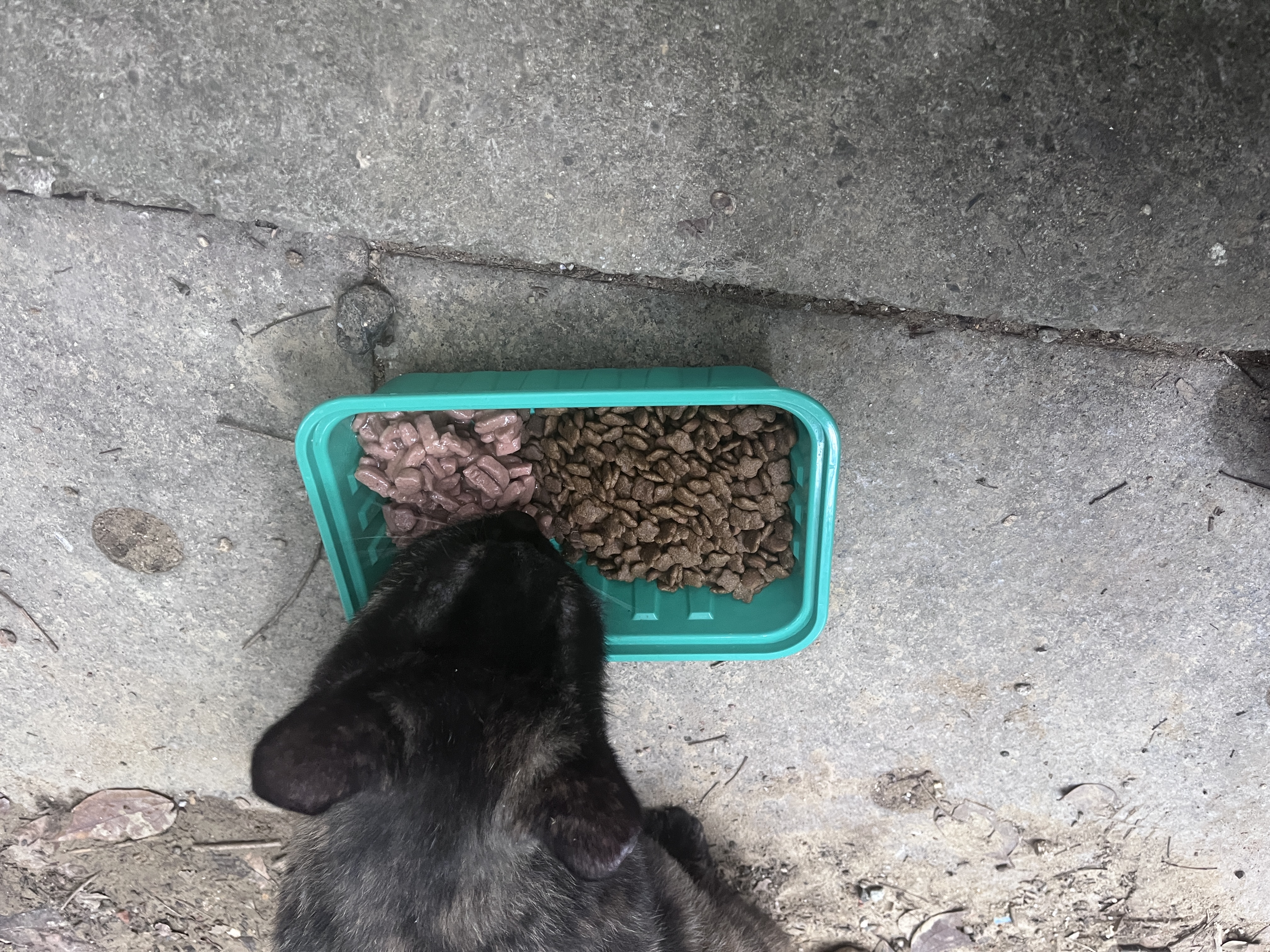 麦富迪猫粮 barf霸弗天然猫粮冻干成猫粮养胃增肌牛肉1.8kg【宠物金选】 实拍图