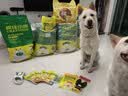 疯狂小狗中大型犬狗粮成幼犬40斤宠物边牧金毛拉布拉多鸡肉燕麦20kg囤货装 实拍图