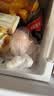 龙大肉食山东发货黑猪猪肚子净重3斤  猪肚鸡火锅食材 猪肉烧烤 源头直发 实拍图