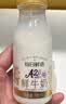 每日鲜语鲜牛奶4.0g蛋白质 211ml*6 家庭必备  巴氏杀菌乳 低温奶 实拍图