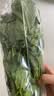 大菠菜300g 实拍图